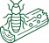 Insectes xylophages